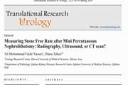 Measuring Stone Free Rate after Mini Percutaneous Nephrolithotomy: Radiography, Ultrasound, or CT scan? Editorial